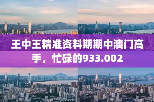 王中王精准资料期期中澳门高手，忙碌的933.002
