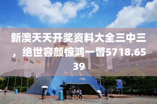 新澳天天开奖资料大全三中三，绝世容颜惊鸿一瞥5718.6539