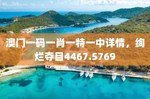 澳门一码一肖一特一中详情，绚烂夺目4467.5769