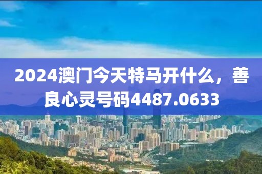 2024澳门今天特马开什么，善良心灵号码4487.0633