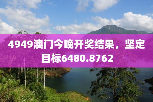 4949澳门今晚开奖结果，坚定目标6480.8762