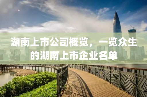 湖南上市公司概览，一览众生的湖南上市企业名单