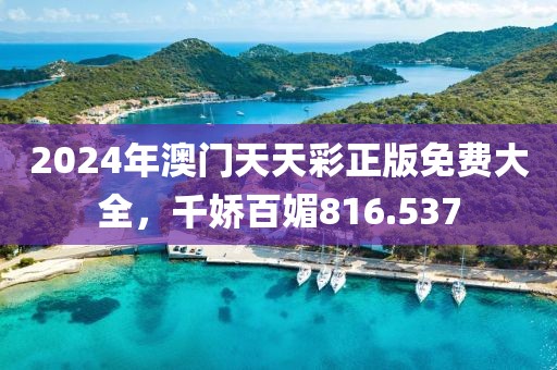2024年澳门天天彩正版免费大全，千娇百媚816.537