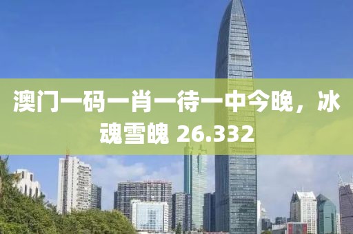 澳门一码一肖一待一中今晚，冰魂雪魄 26.332