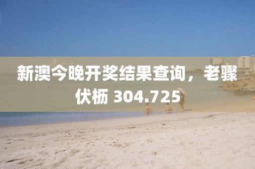 新澳今晚开奖结果查询，老骤伏枥 304.725