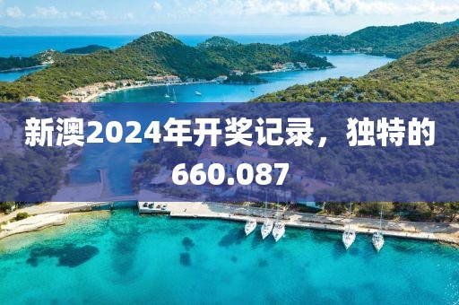新澳2024年开奖记录，独特的660.087