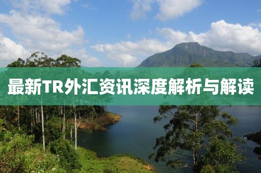 最新TR外汇资讯深度解析与解读