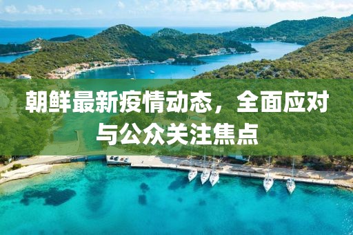 朝鲜最新疫情动态，全面应对与公众关注焦点