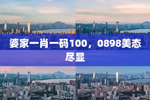 婆家一肖一码100，0898美态尽显