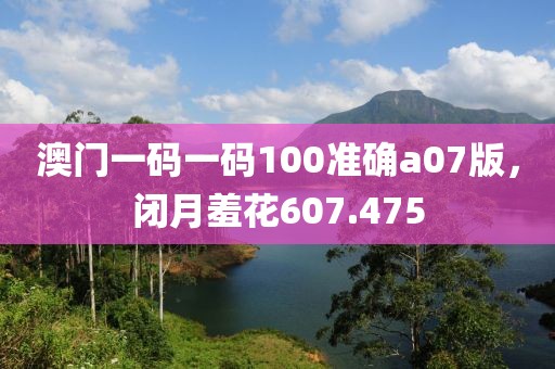 澳门一码一码100准确a07版，闭月羞花607.475