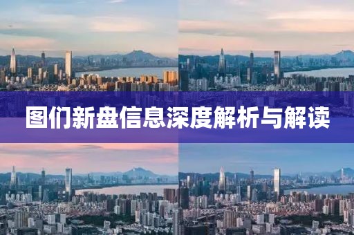 图们新盘信息深度解析与解读