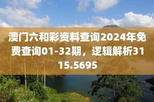 澳门六和彩资料查询2024年免费查询01-32期，逻辑解析3115.5695