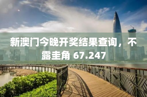 新澳门今晚开奖结果查询，不露圭角 67.247