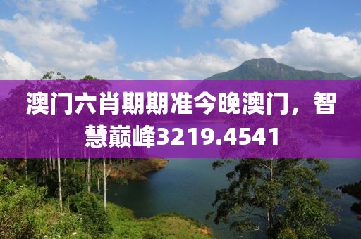澳门六肖期期准今晚澳门，智慧巅峰3219.4541