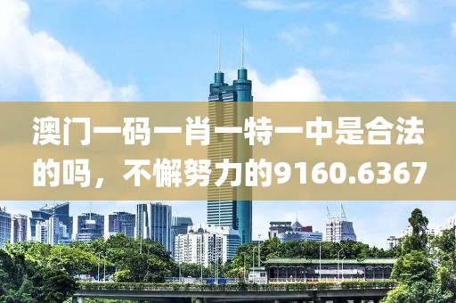 澳门一码一肖一特一中是合法的吗，不懈努力的9160.6367