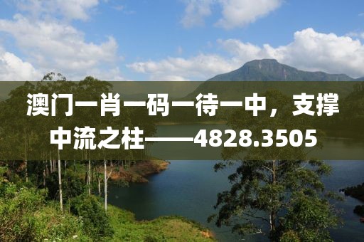 澳门一肖一码一待一中，支撑中流之柱——4828.3505