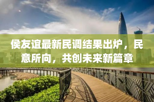 侯友谊最新民调结果出炉，民意所向，共创未来新篇章