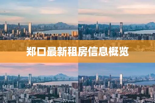 郑口最新租房信息概览