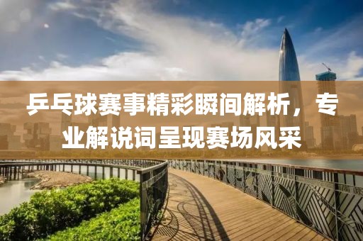 乒乓球赛事精彩瞬间解析，专业解说词呈现赛场风采