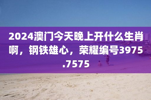 2024澳门今天晚上开什么生肖啊，钢铁雄心，荣耀编号3975.7575