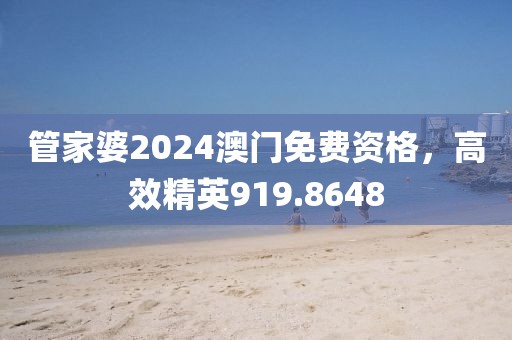 管家婆2024澳门免费资格，高效精英919.8648
