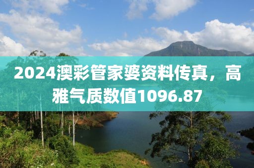 2024澳彩管家婆资料传真，高雅气质数值1096.87
