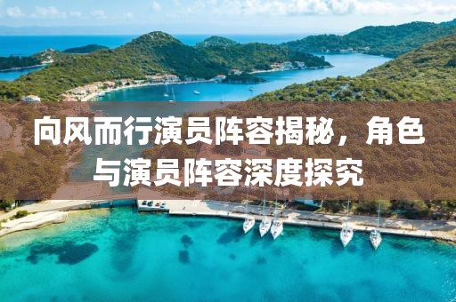 向风而行演员阵容揭秘，角色与演员阵容深度探究