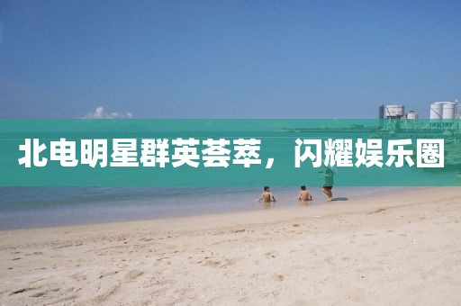 北电明星群英荟萃，闪耀娱乐圈