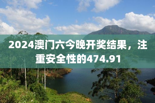 2024澳门六今晚开奖结果，注重安全性的474.91