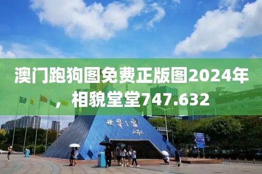 澳门跑狗图免费正版图2024年，相貌堂堂747.632