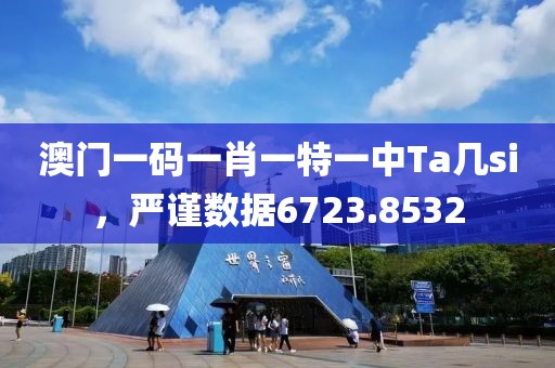 澳门一码一肖一特一中Ta几si，严谨数据6723.8532