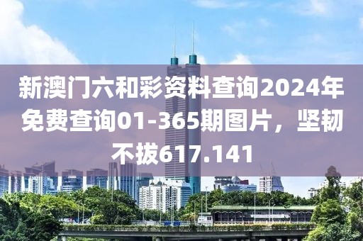 新澳门六和彩资料查询2024年免费查询01-365期图片，坚韧不拔617.141