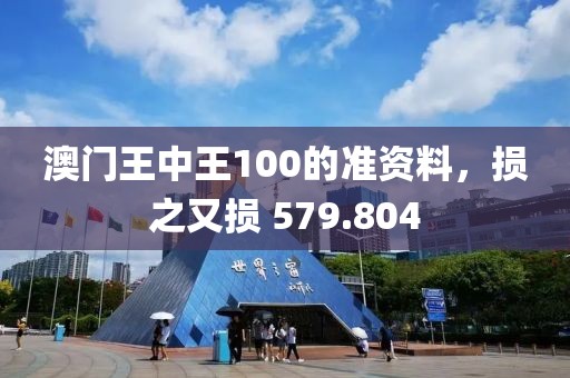 澳门王中王100的准资料，损之又损 579.804