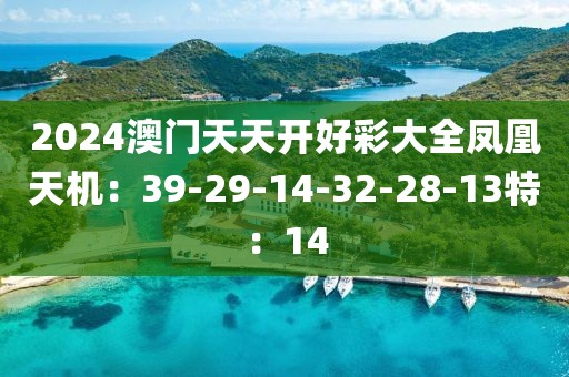 2024澳门天天开好彩大全凤凰天机：39-29-14-32-28-13特：14