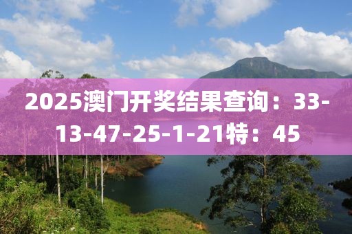 2025澳门开奖结果查询：33-13-47-25-1-21特：45
