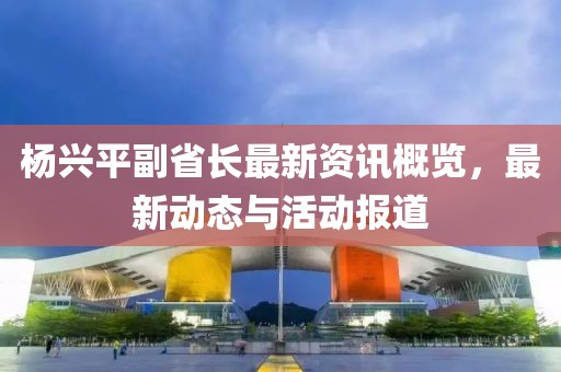 杨兴平副省长最新资讯概览，最新动态与活动报道