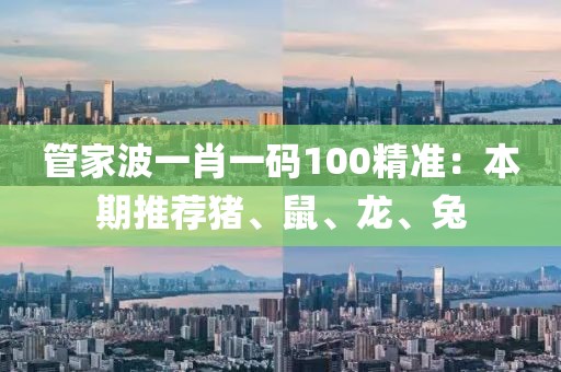 管家波一肖一码100精准：本期推荐猪、鼠、龙、兔
