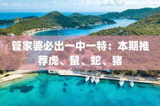 管家婆必出一中一特：本期推荐虎、鼠、蛇、猪