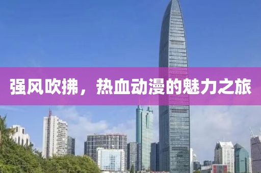 强风吹拂，热血动漫的魅力之旅