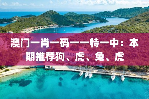 澳门一肖一码一一特一中：本期推荐狗、虎、兔、虎