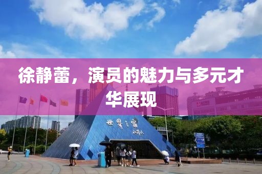 徐静蕾，演员的魅力与多元才华展现