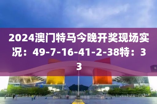 2024澳门特马今晚开奖现场实况：49-7-16-41-2-38特：33