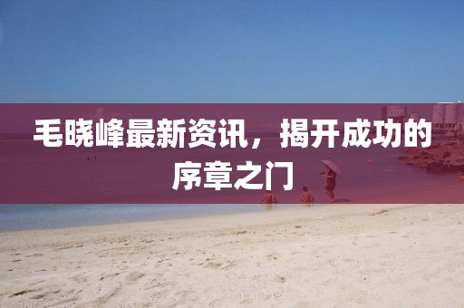 毛晓峰最新资讯，揭开成功的序章之门
