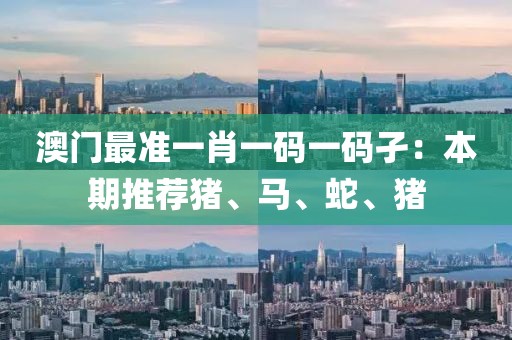 澳门最准一肖一码一码孑：本期推荐猪、马、蛇、猪