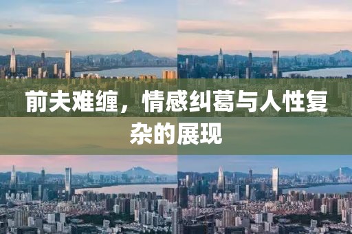 前夫难缠，情感纠葛与人性复杂的展现
