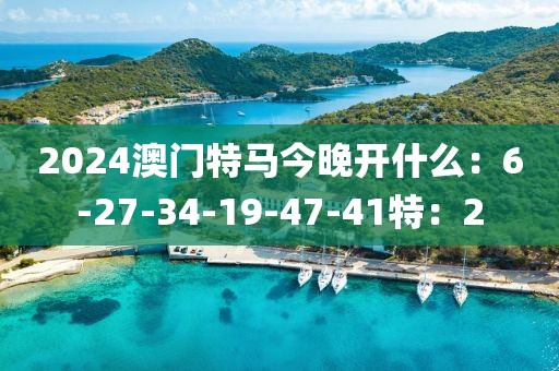 2024澳门特马今晚开什么：6-27-34-19-47-41特：2