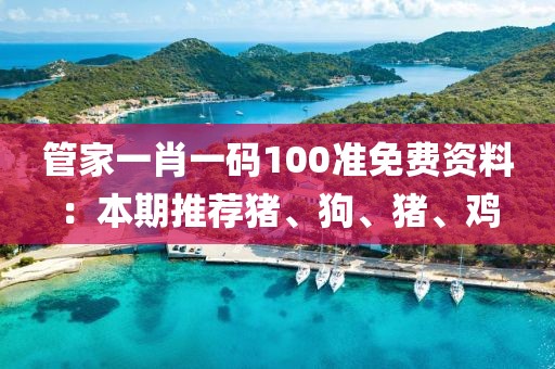 管家一肖一码100准免费资料：本期推荐猪、狗、猪、鸡