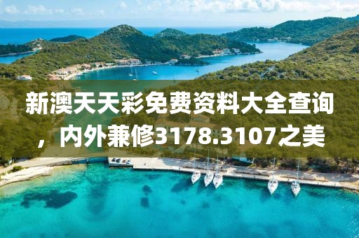 新澳天天彩免费资料大全查询，内外兼修3178.3107之美