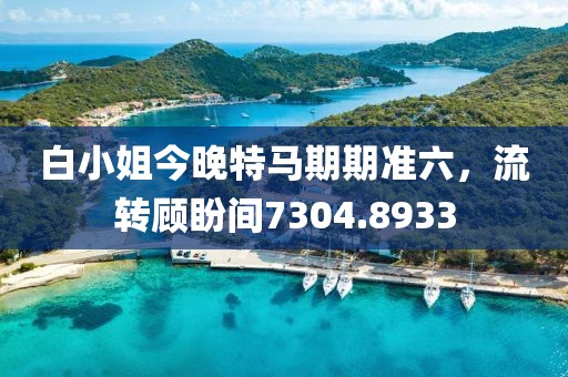 白小姐今晚特马期期准六，流转顾盼间7304.8933