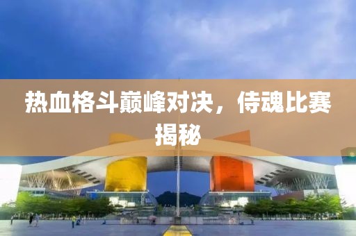 热血格斗巅峰对决，侍魂比赛揭秘